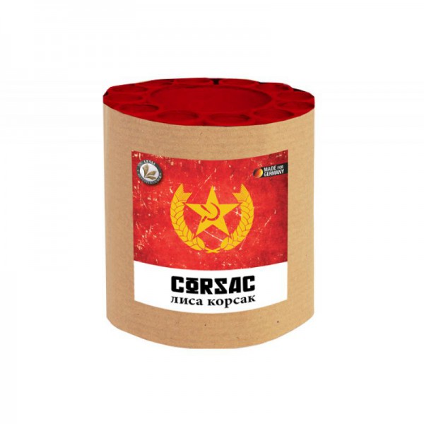Corsac