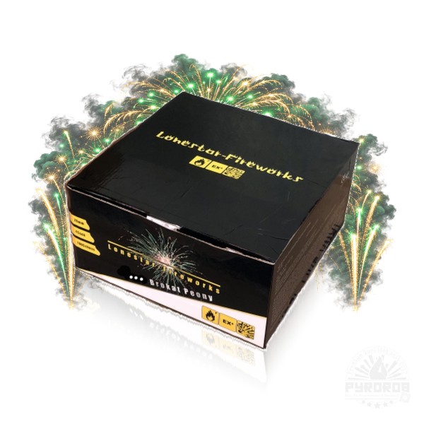 LS-F2-100-03