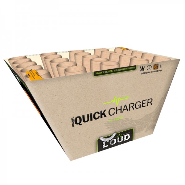 Quick Charger